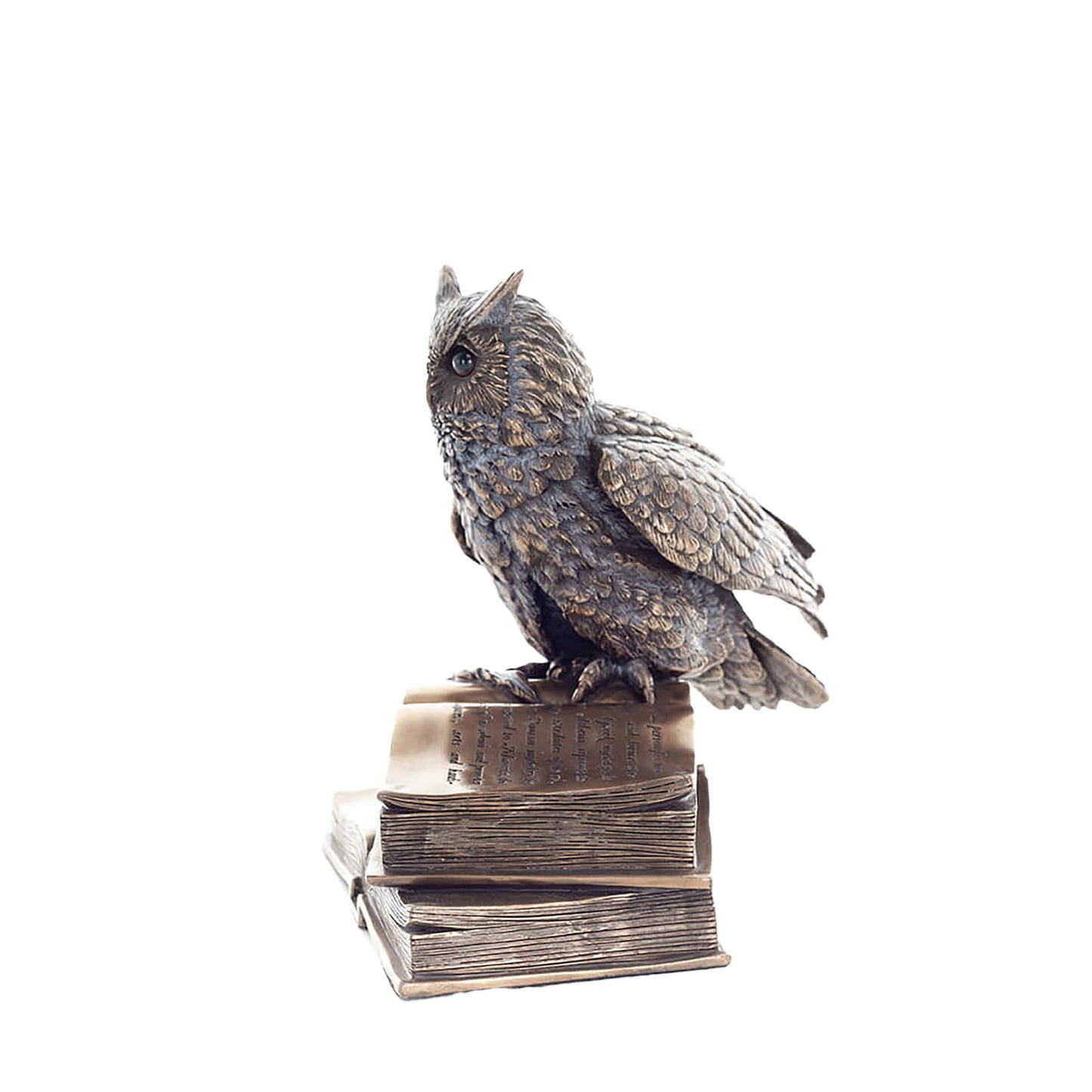 Wise Owl on Books Statue – 17cm Veronese Cold-Cast Bronze Knowledge & Wisdom Figurine
