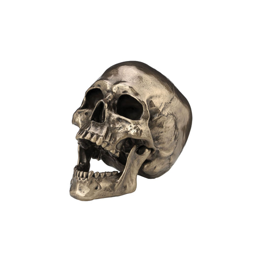 Realistic Skull Statue in Cold Cast Bronze – Gothic Decor Sculpture (22x16cm) by Veronese Design