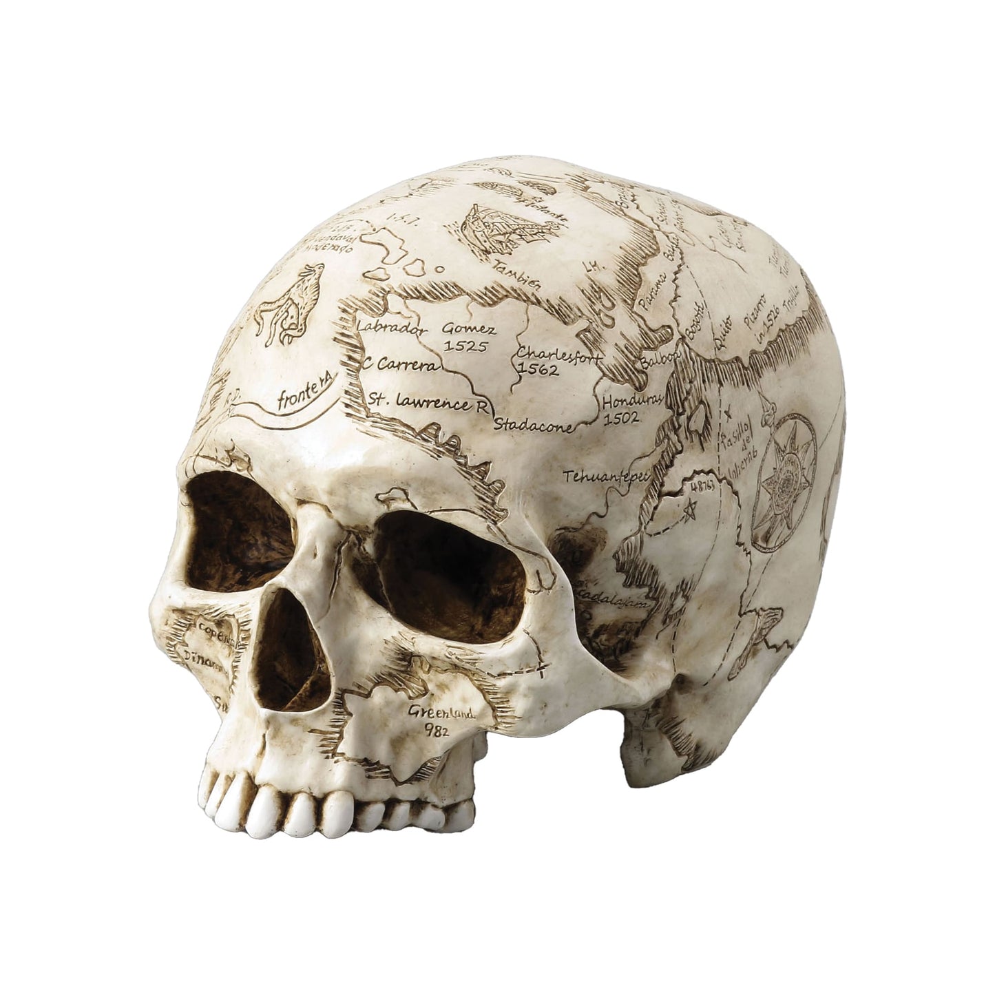 World Map Engraved Skull – Explorer’s Resin Decorative Ornament (18x13cm) by Veronese Design