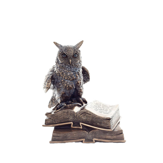 Wise Owl on Books Statue – 17cm Veronese Cold-Cast Bronze Knowledge & Wisdom Figurine