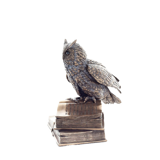 Wise Owl on Books Statue – 17cm Veronese Cold-Cast Bronze Knowledge & Wisdom Figurine