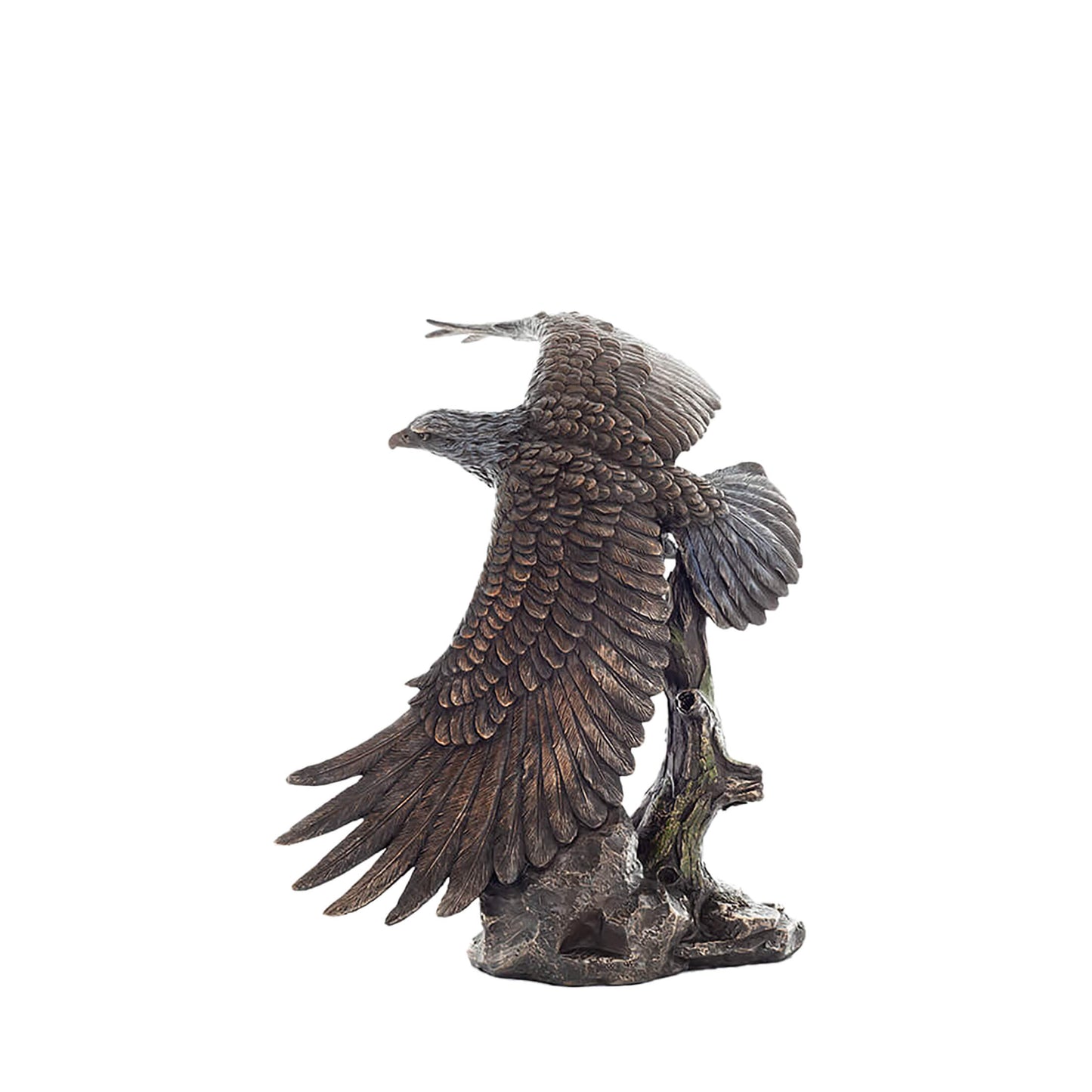 Red Kite Eagle Statue – 38x54cm Veronese Cold-Cast Bronze Majestic Bird of Prey Figurine