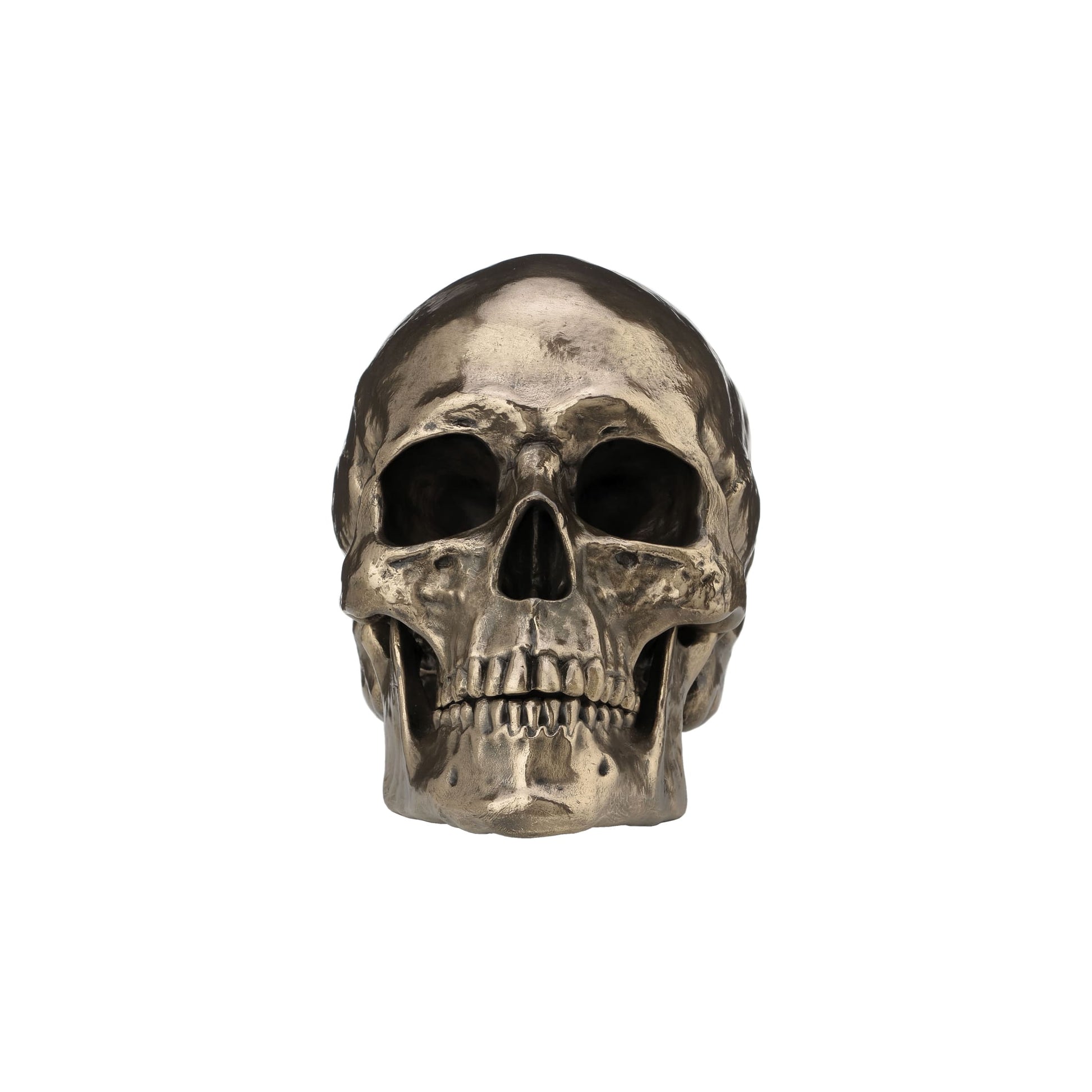 Realistic Skull Statue in Cold Cast Bronze – Gothic Decor Sculpture (22x16cm) by Veronese Design