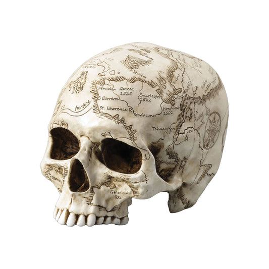 World Map Engraved Skull – Explorer’s Resin Decorative Ornament (18x13cm) by Veronese Design